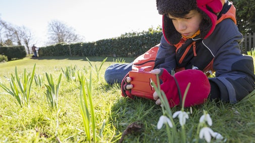 Snowdrops at Newark Park